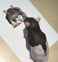 Image 3 of Rathbone (Ratty) ~ Removable Wall sticker 