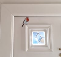Image 4 of Bob Robin ~ Removable Wall sticker 