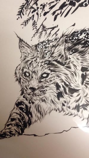 Image of inked bobcat original piece