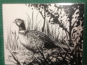 Image of pheasant inked original one of a kind piece