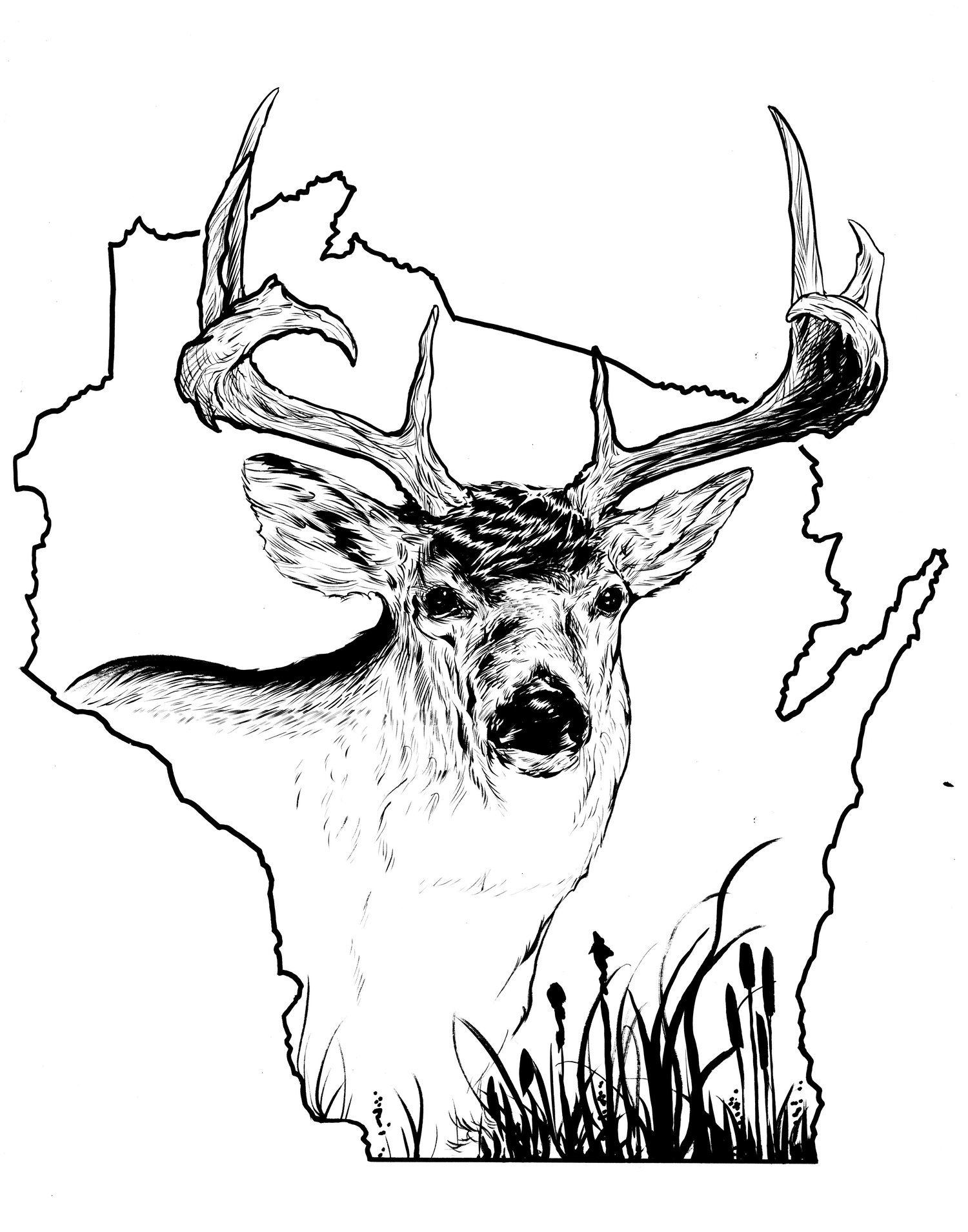 Image of wisconsin whitetail inked piece