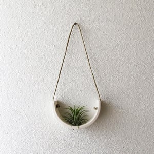 Image of Small White Earthenware Hanging Air Plant Cradle
