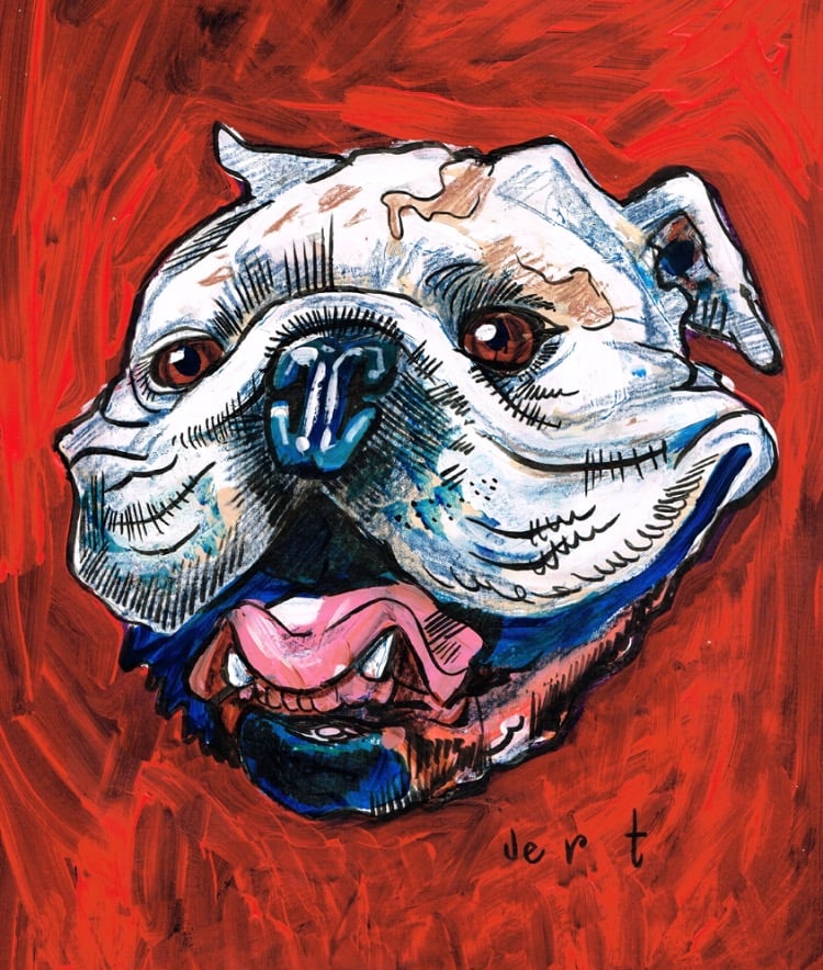 Image of 12x16 CUSTOM PET PAINTING ON PAPER -from photos-PRICE INCLUDES SHIPPING AND INSURANCE 