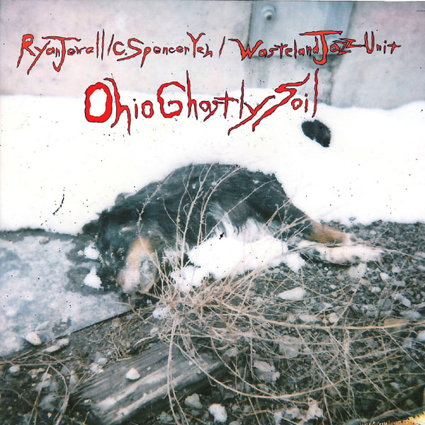 Image of Ryan Jewell / C. Spencer Yeh / Wasteland Jazz Unit - "Ohio Ghastly Soil" lim. CDR - DS004