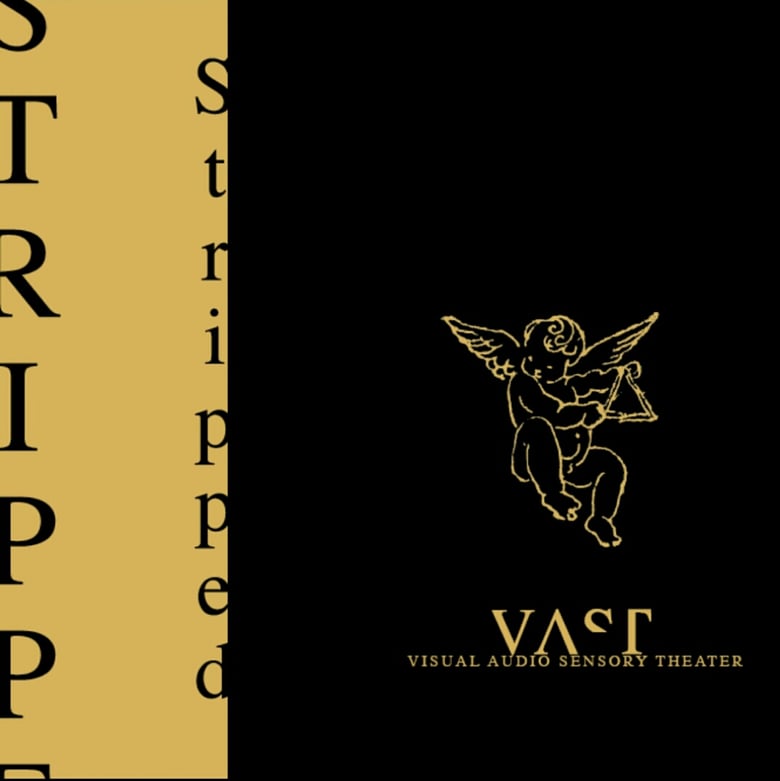 Image of VAST "Stripped"  2xLP (Ltd 500) Visual Audio Sensory Theater