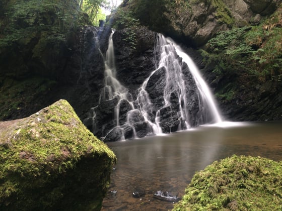 Image of The Fairy Glen