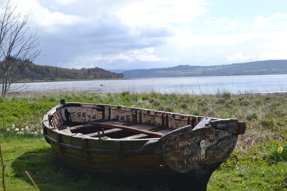 Image of Abandoned Boat