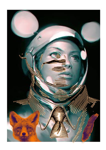 Image of Space Fox