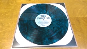 Image of Othorized Fam - Mugshots Vol.2 (Colored Or Black 12" Vinyl)