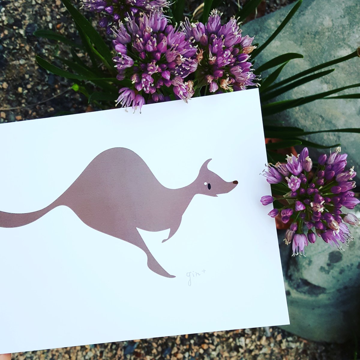 Image of Minimalist Kangaroo A6 greeting card