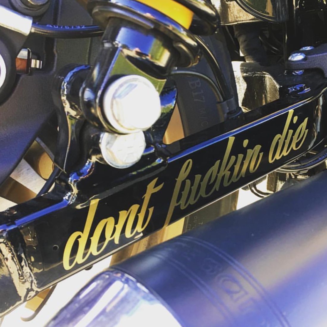 Image of DFD Swingarm decal