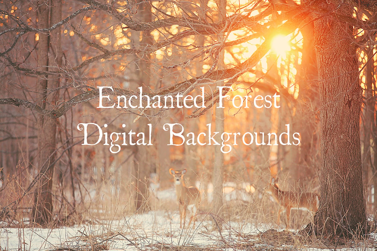 Image of Enchanted Forest Digital Backgrounds