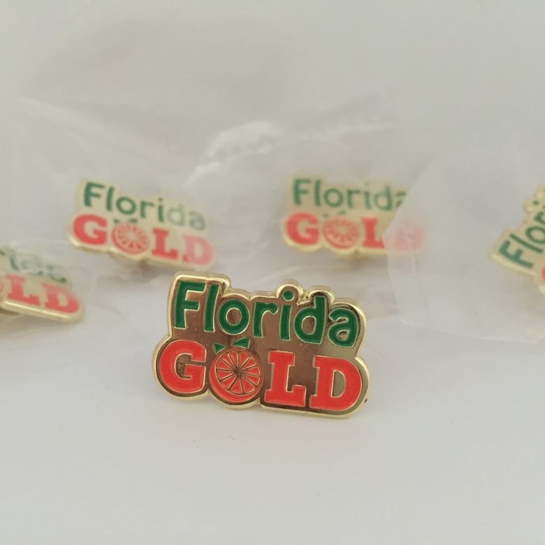 Image of Florida Gold Pin