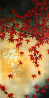 Lily Greenwood Giclée Print - Japanese Maple - 8"x 16" (Open Edition)