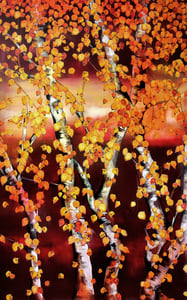 Image of Lily Greenwood Giclée Print - Autumn Silver Birch - 10"x 16" (Open Edition)