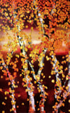 Lily Greenwood Giclée Print - Autumn Silver Birch - 10"x 16" (Open Edition)