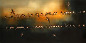 Image of Lily Greenwood Giclée Print - Swallows - 8"x 16" (Open Edition)
