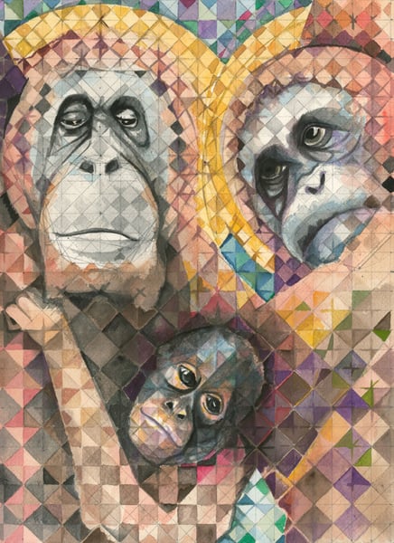 Image of Orangutans