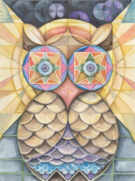 Image of Owl