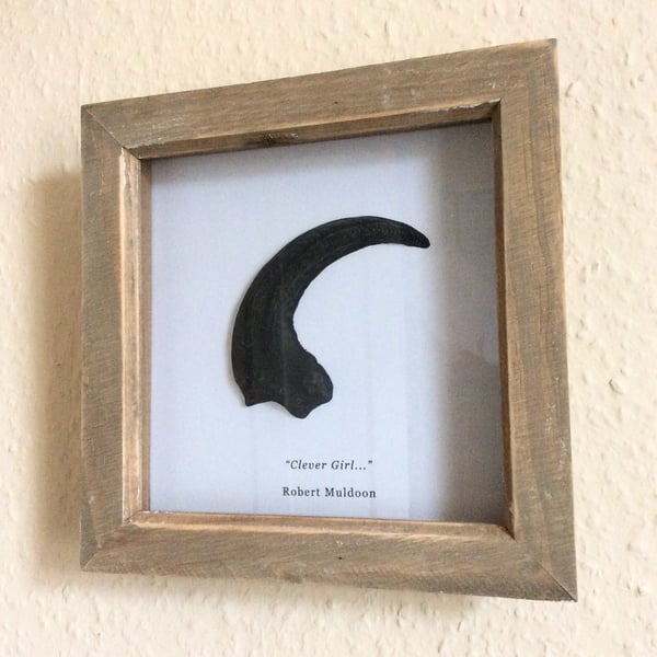 Image of Framed Velociraptor Claw