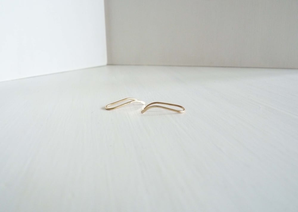 Image of Helix ear pins