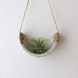 Image of SMALL SPECKLE BUFF HANGING AIR PLANT CRADLE DIPPED IN GLOSS WHITE GLAZE