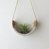SMALL SPECKLE BUFF HANGING AIR PLANT CRADLE DIPPED IN GLOSS WHITE GLAZE