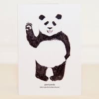 Panda Mini Card