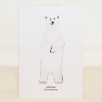 Polar Bear Mini Card