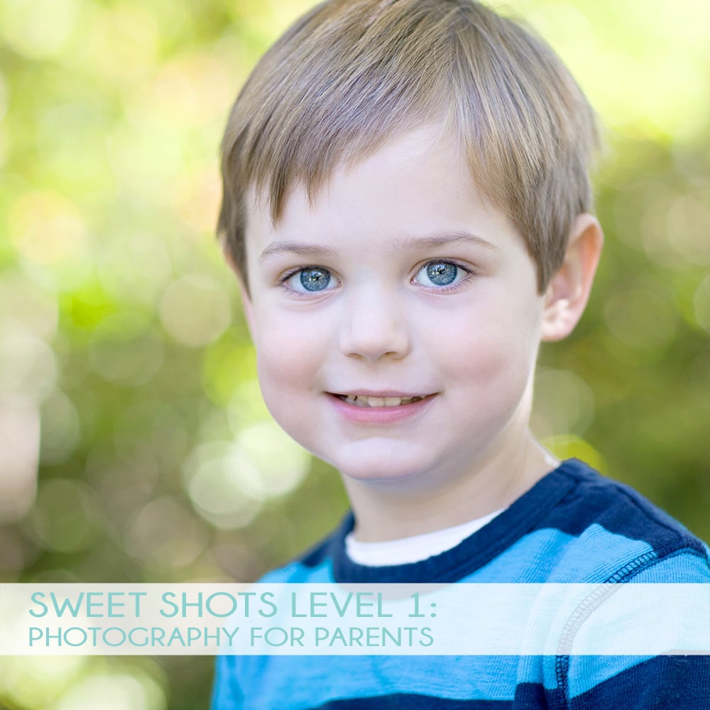 Image of Sweet Shots Level 1 | Photography for Parents