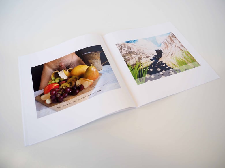 Image of PICUS DICKUS + FLAP SNAPS Photo Book