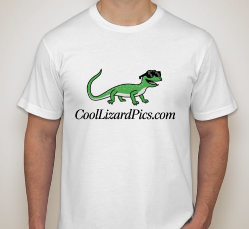 Image of Cool Lizard Tee - Short Sleeve