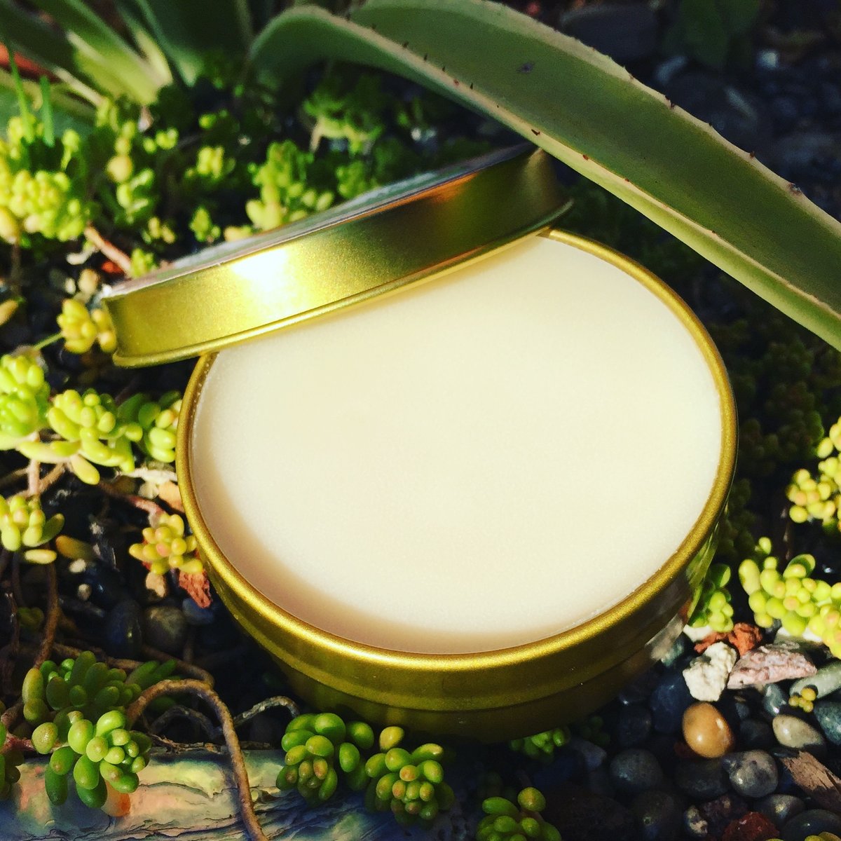 Image of Shea Butter Herbal Salve