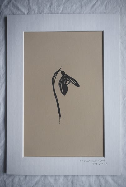 Image of Lino print: Snowdrop