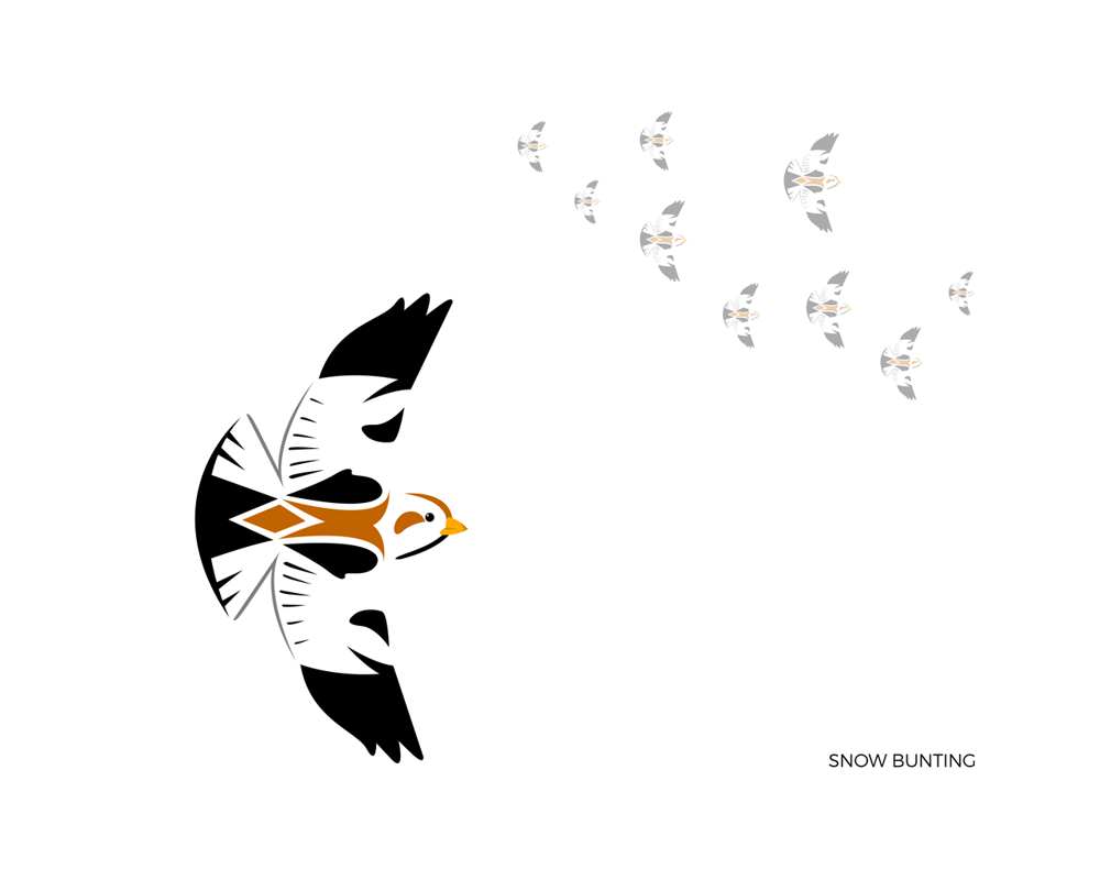 Image of Snow Bunting Limited Edition Print