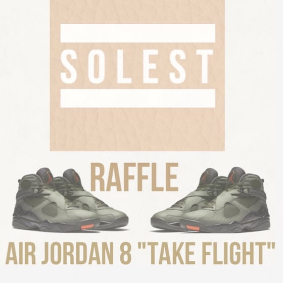 Image of Air Jordan 8 "Take Flight"