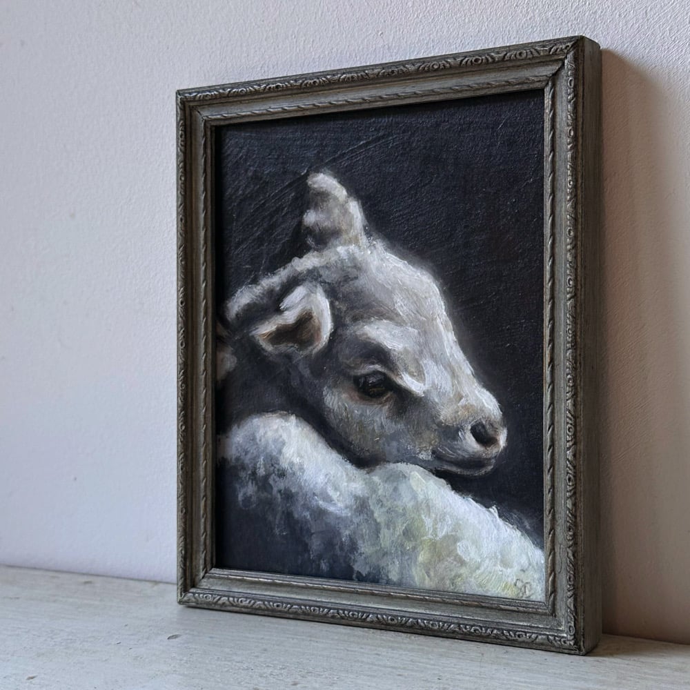 Image of lamb 