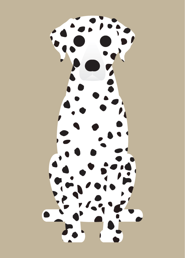 Dalmation, Doberman, Miniature Pinscher Collection