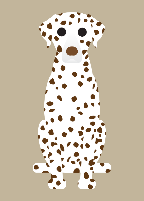Dalmation, Doberman, Miniature Pinscher Collection