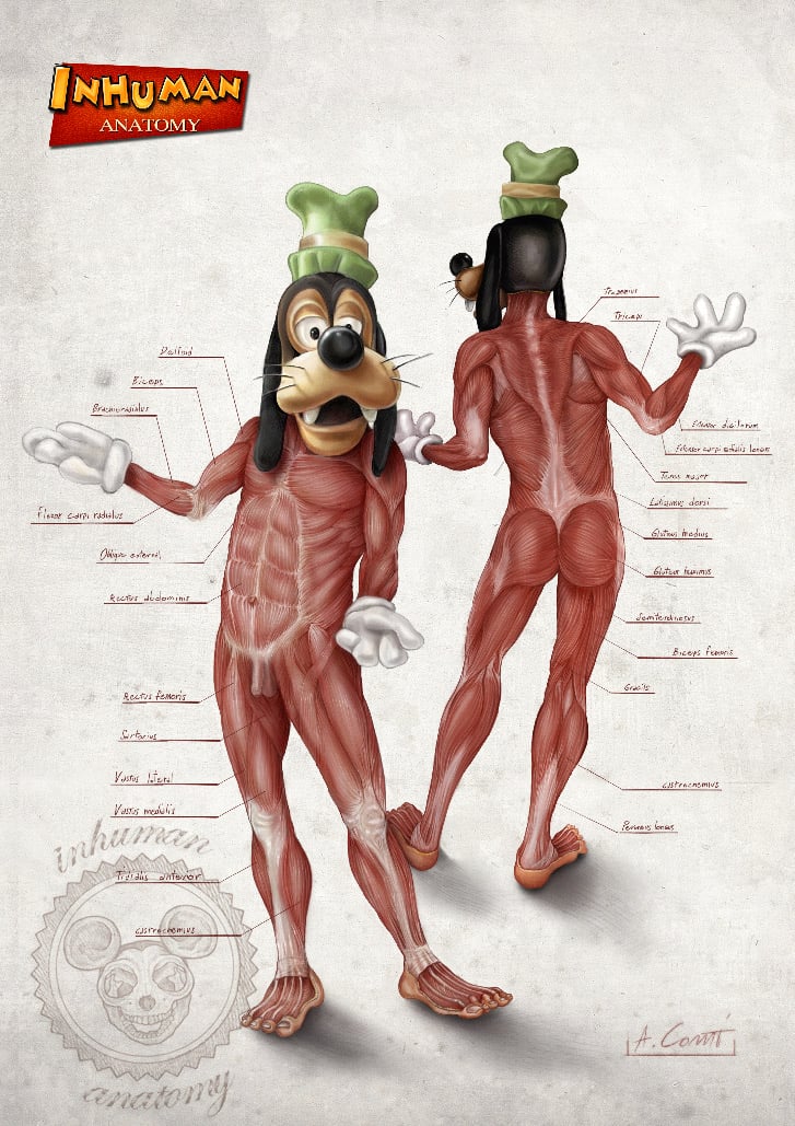 Image of INHUMAN ANATOMY - Goofy's anatomy - limited edition of 100 Giclèe print on fine art canvas