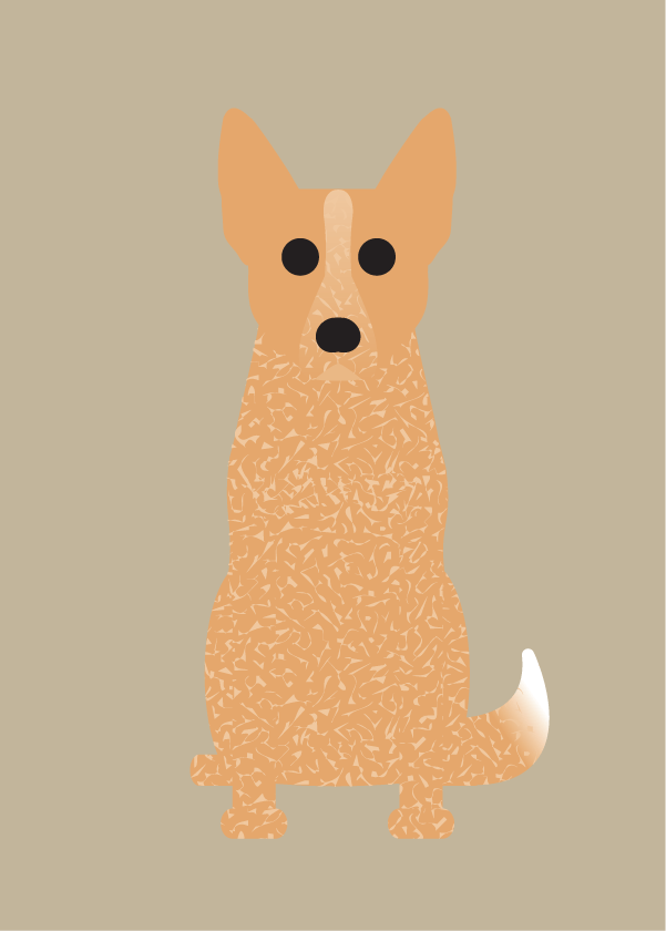 Airedale, Australian Cattle Dog, Boxer Collection