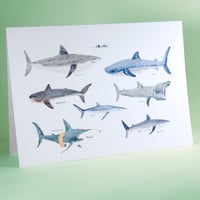 Image 1 of Some Sharks Card