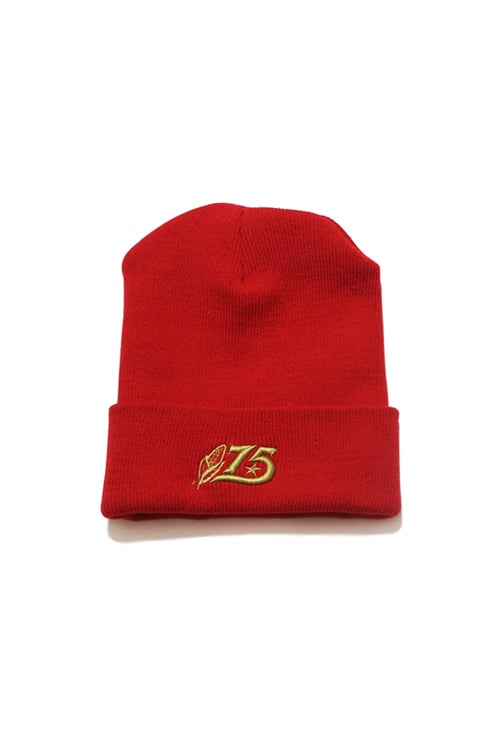 Image of 75 Beanie