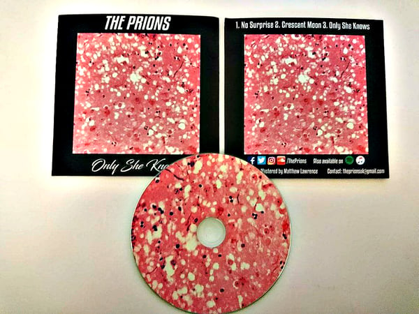 Image of The Prions - 'Only She Knows' CD
