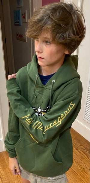 Image of Let’s Go Dancing firefly hoodie
