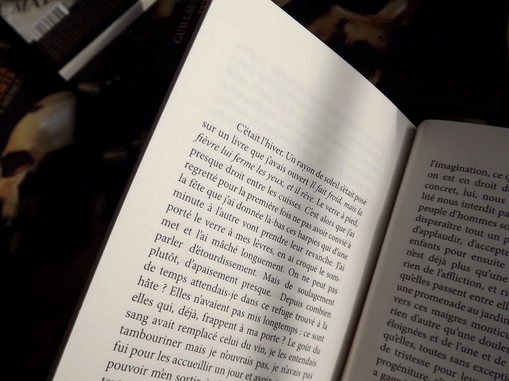 Image of D'entre les morts de Guillaume Belhomme & Daniel Menche