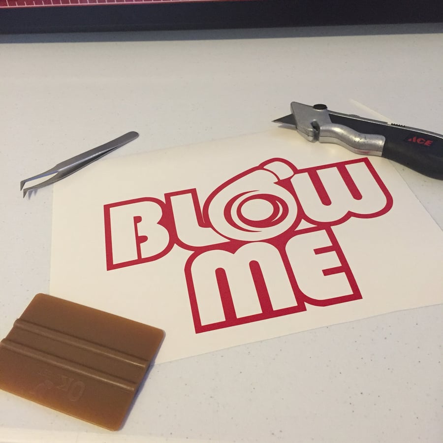 Image of 6x4 blow me decal
