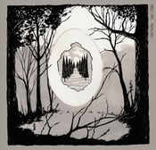 Image of Insect Ark "Portal/Well" LP