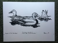Image 2 of Ducks on the river Original Art