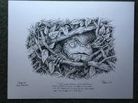 Image 2 of Toad hides from the police Original Art